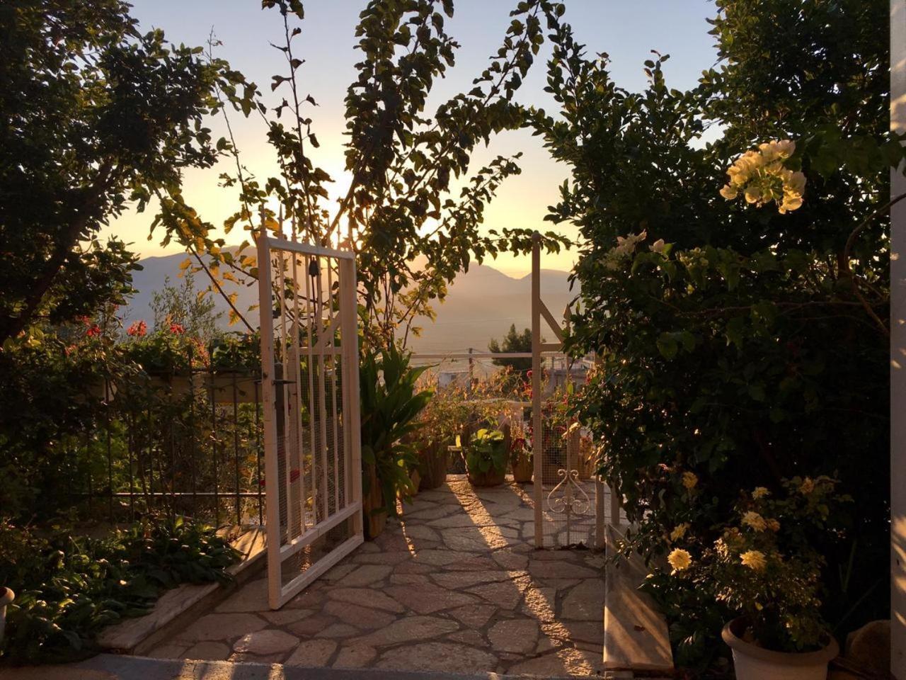 Joanna&mattheo Sarandë